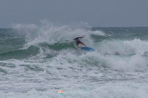 20241222-IMG_0285