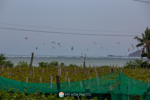 20241222-IMG_0461
