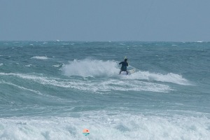20250104-IMG_0914