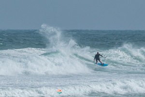 20250104-IMG_1020