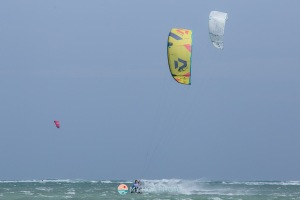 20250110-IMG_2201