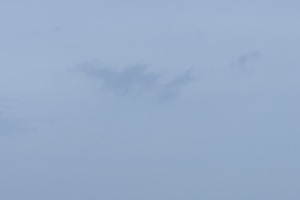 20250110-IMG_2257