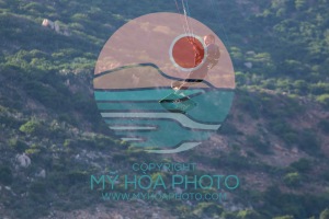 20250119-IMG_5749